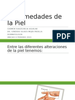 Enfermedades de La Piel