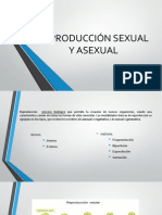 Reproducciòn Sexual y Asexual PDF