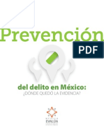 Prevencion Del Delito en Mexico Doc