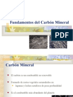 5.2-Carbón Mineral (2)