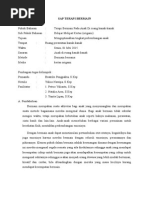 Download Sap Terapi Bermai Origami by Petrus Yulianto Ethuz SN267900985 doc pdf