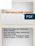 Metabolisme Purin 