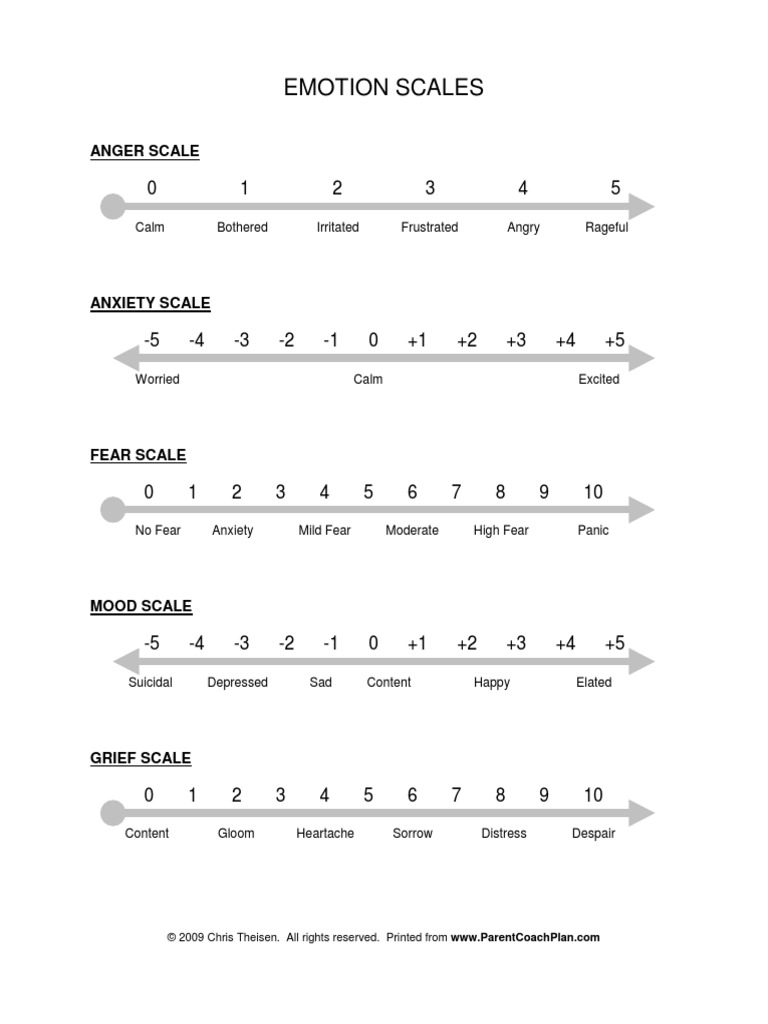 Emotion Scales | PDF