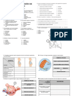 Respiración Actividades