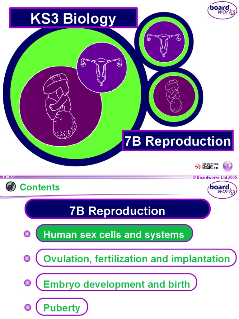 Reproductive Cycle.ppt Fertilisation Sex