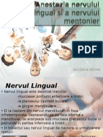Anestezia Nervului Lingual Si A Nervului Mentonier