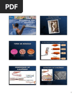 Respostas e Adaptações Metabólicas Ao Exercício