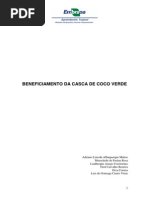 B Beneficiamento da Fibra de coco verde.pdf