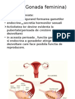 Ovarul(Gonada feminina)