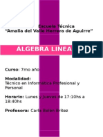 Planificacion Algebra Lineal para Secundaria