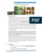 RALSTONIA SOLANACEARUM (1).pdf