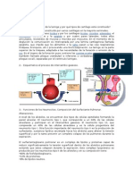 Cuestionario 14 y 15 HISTO