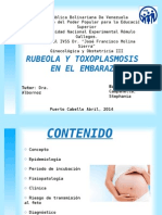Rubeola y Toxoplasmosis (1)