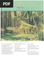 Biología de Angiospermas | PDF | Flores | Plantas