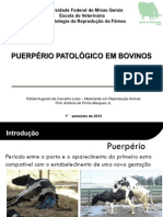 Puerperio Patológico em bovinos