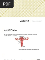 Vagina