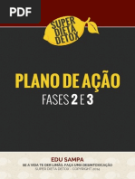 PlanodeAção-Fases2e3.pdf