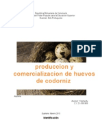 produccion y comercializacion de huevos de codorniz.docx