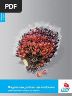 Download Information About Oil Palm Nutrition by quepos09 SN26798432 doc pdf