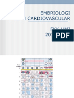 Cardiovasculer Embryol