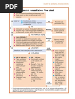 Quizlet NRP 8TH Edition | PDF | Cardiopulmonary Resuscitation | Heart Rate