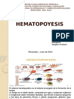 Hematopoyesis