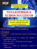 1° aula nucleotideos e acidos nucleicos