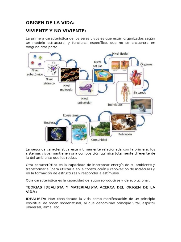 Teorías sobre el Origen de la Vida | PDF | Vida | Naturaleza