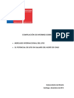 InformeLi.pdf