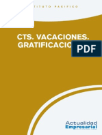 2015 Lab 04 Cts Vacaciones Gratificaciones (1)