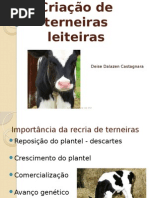 aula 7 Criação_de_terneiras 2.pptx