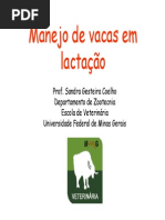 Embrapa Manejo de vacas em lactacao Modo de Compatibili_dade.pdf