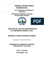 Analisis de Salvaguardas