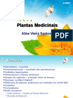 Aula Plantas Medicinais