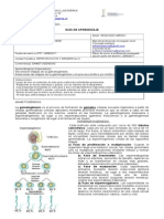 Guia 1 2º Biologia