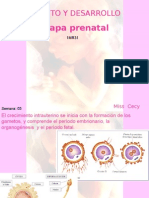 Clase #3-Etapa Embrionaria y Fetal