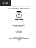 Download Laporan KKL 2014 by Verelcare Elgave SN268089676 doc pdf