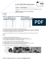 Prueba 2 de Ciencias 3°