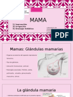 Anatomía de Mama