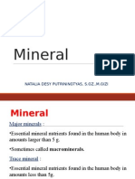 Mineral: Natalia Desy Putriningtyas, S.Gz.,M.Gizi