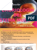 Embriologia de Sistema Muscular - Terminado 2
