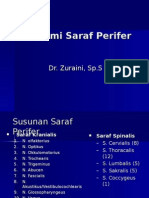 KP 5.17 Anatomi Saraf Perifer