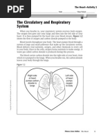 Message | PDF | Breastfeeding | Secondary Sexual Characteristics