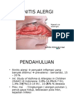 Rhinitis Alergi