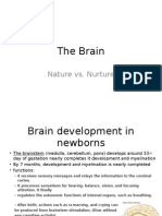 The Brain: Nature vs. Nurture