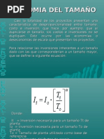 Economía del tamaño