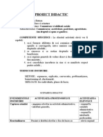 00proiect Didactic Consiliere