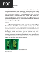 Download Penyakit Penting Tanaman Padi by Martin Sianturi SN268167571 doc pdf