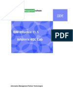 2.4c Informix Application Development 4GL Lab (1)