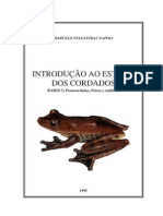 Introdução aos Cordados: Protocordados, Peixes e Anfíbios